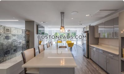 Brighton Apartment for rent Studio 1 Bath Boston - $2,550 No Fee