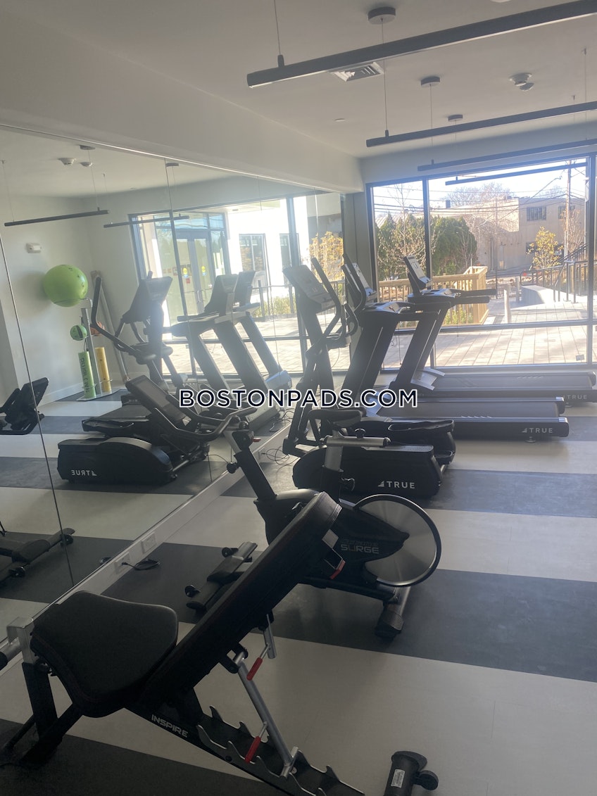 Boston - $2,500+ /month