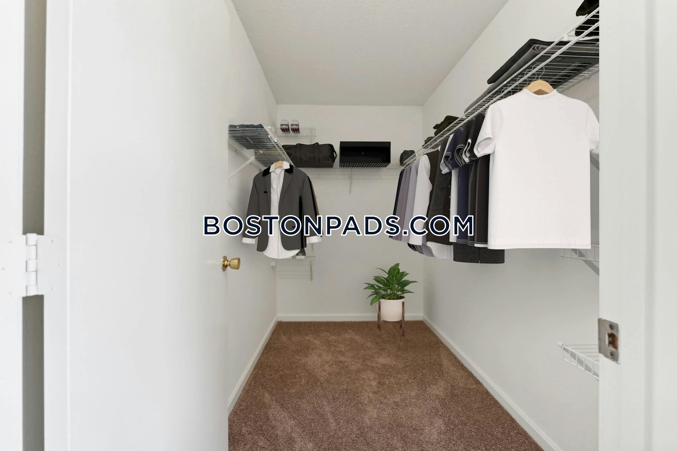 Westborough - 1 Beds, 1 Baths