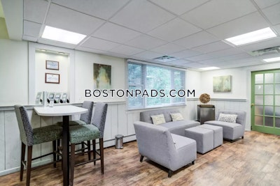 Worcester Apartment for rent Studio 1 Bath - $1,700 No Fee