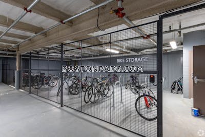 Cambridge Apartment for rent 3 Bedrooms 2 Baths  Mt. Auburn/brattle/ Fresh Pond - $5,250 No Fee