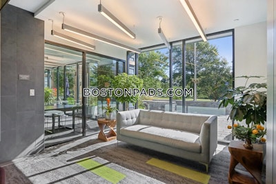 Cambridge Apartment for rent Studio 1 Bath  Mt. Auburn/brattle/ Fresh Pond - $2,500 No Fee