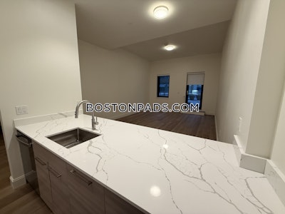 Allston 2 bedroom 2 baths in Boston Boston - $3,750 No Fee