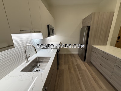 Allston 2 bedroom 2 baths in Boston Boston - $3,750 No Fee