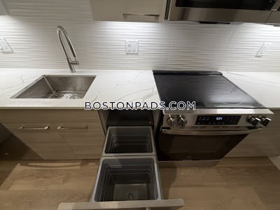 Allston 2 bedroom 2 baths in Boston Boston - $3,750 No Fee