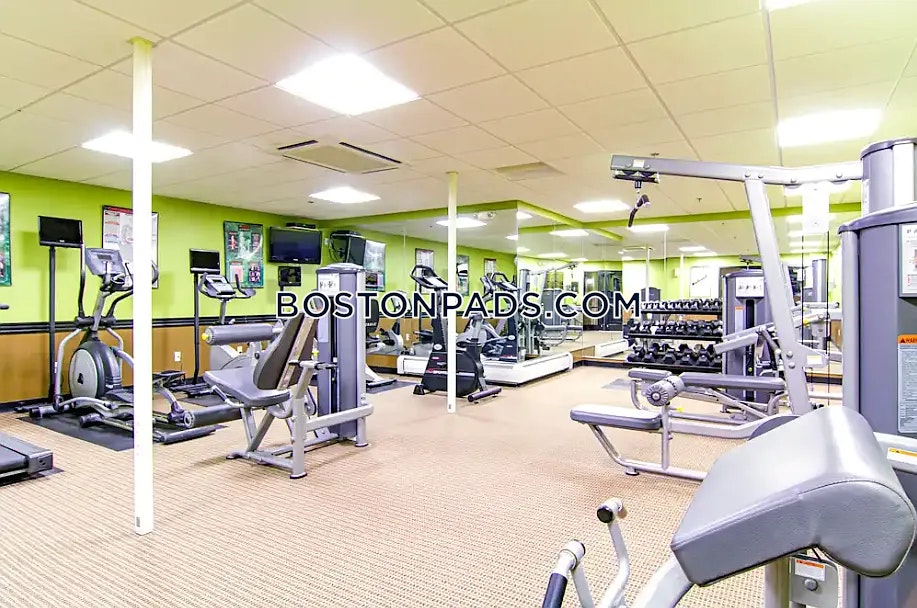 worcester - #8022881