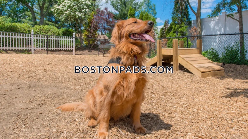 Chicopee - $2,144+ /month