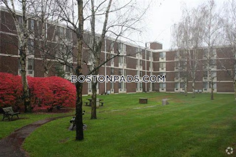 New Ludlow Rd. Chicopee photo 20