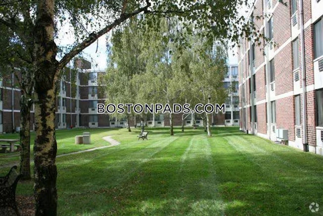 Chicopee - $1,520+ /mo