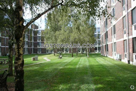 New Ludlow Rd. Chicopee photo 20