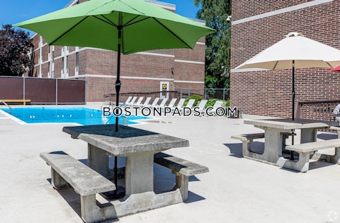 New Ludlow Rd. Chicopee photo 12