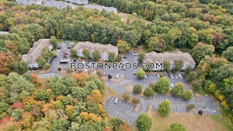 Greenleaves Dr. Hadley photo 11