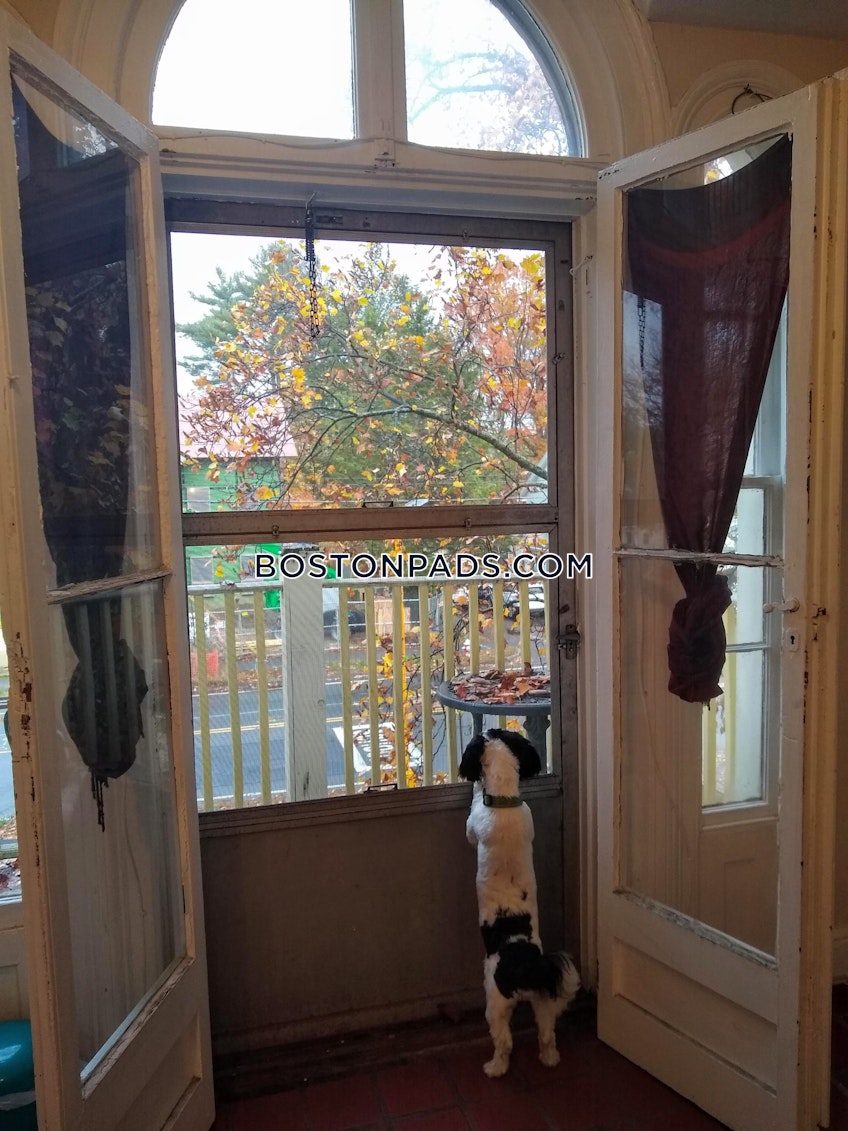 Northampton - $2,050+ /month