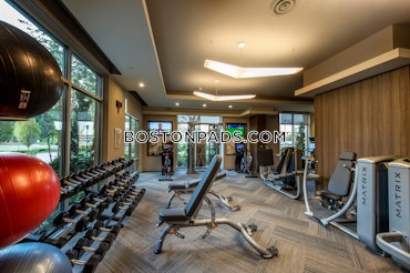 University Ave. Westwood